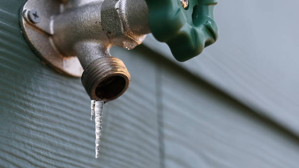 Best Plumbing Inspection Services  in Lakewood Ranch, FL